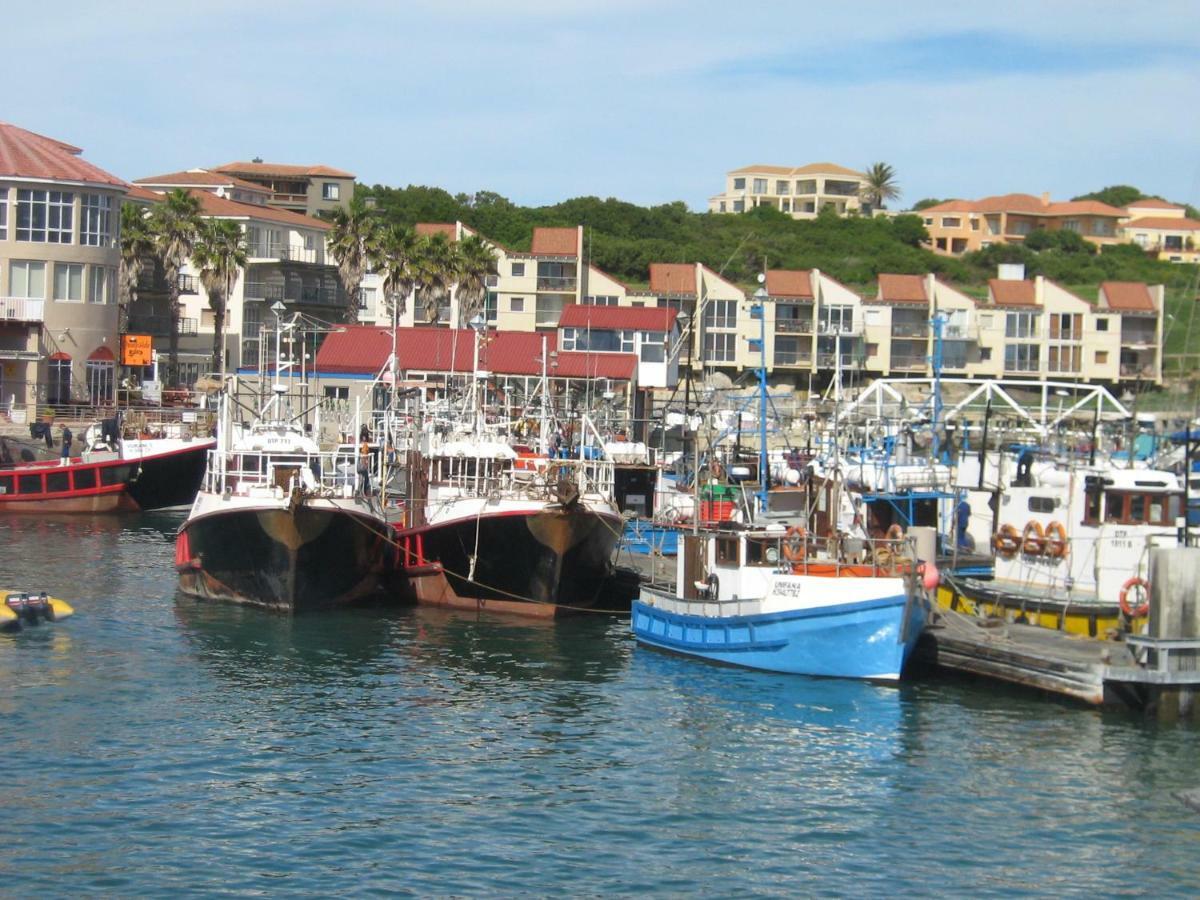 I-Lollo Bed & Breakfast At The River Mouth St Francis Bay Exterior photo